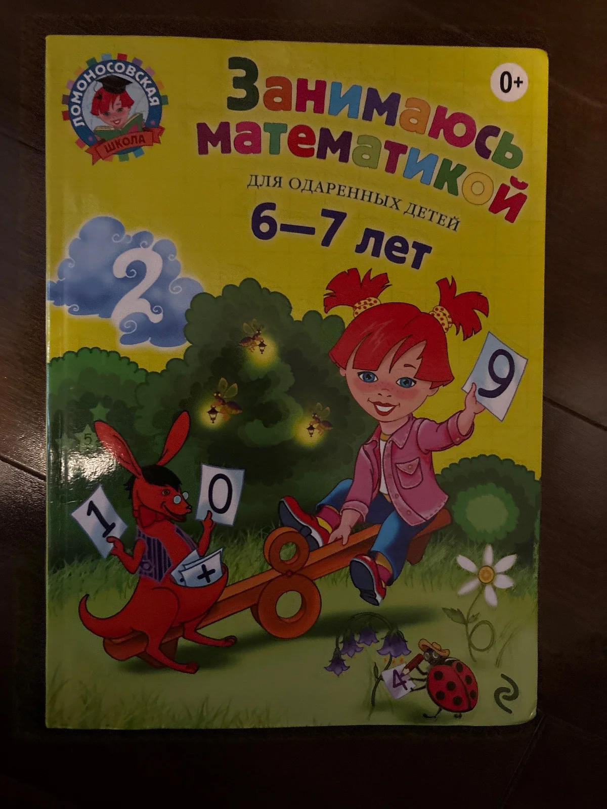 Занимаюсь математикой