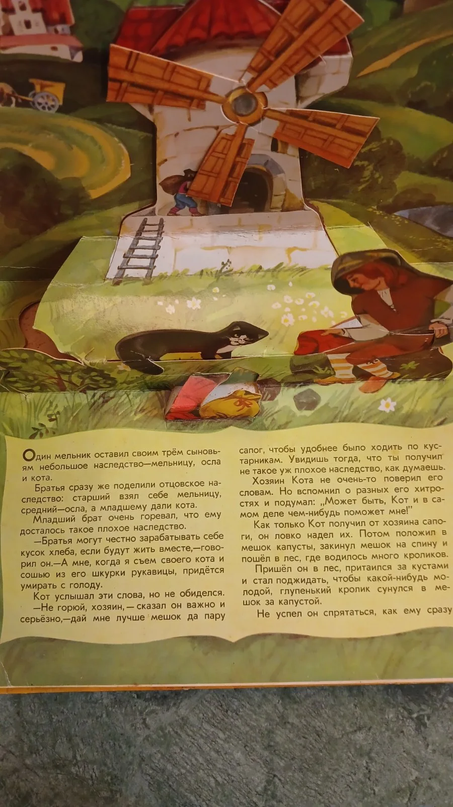 Кот в сапогах image 2