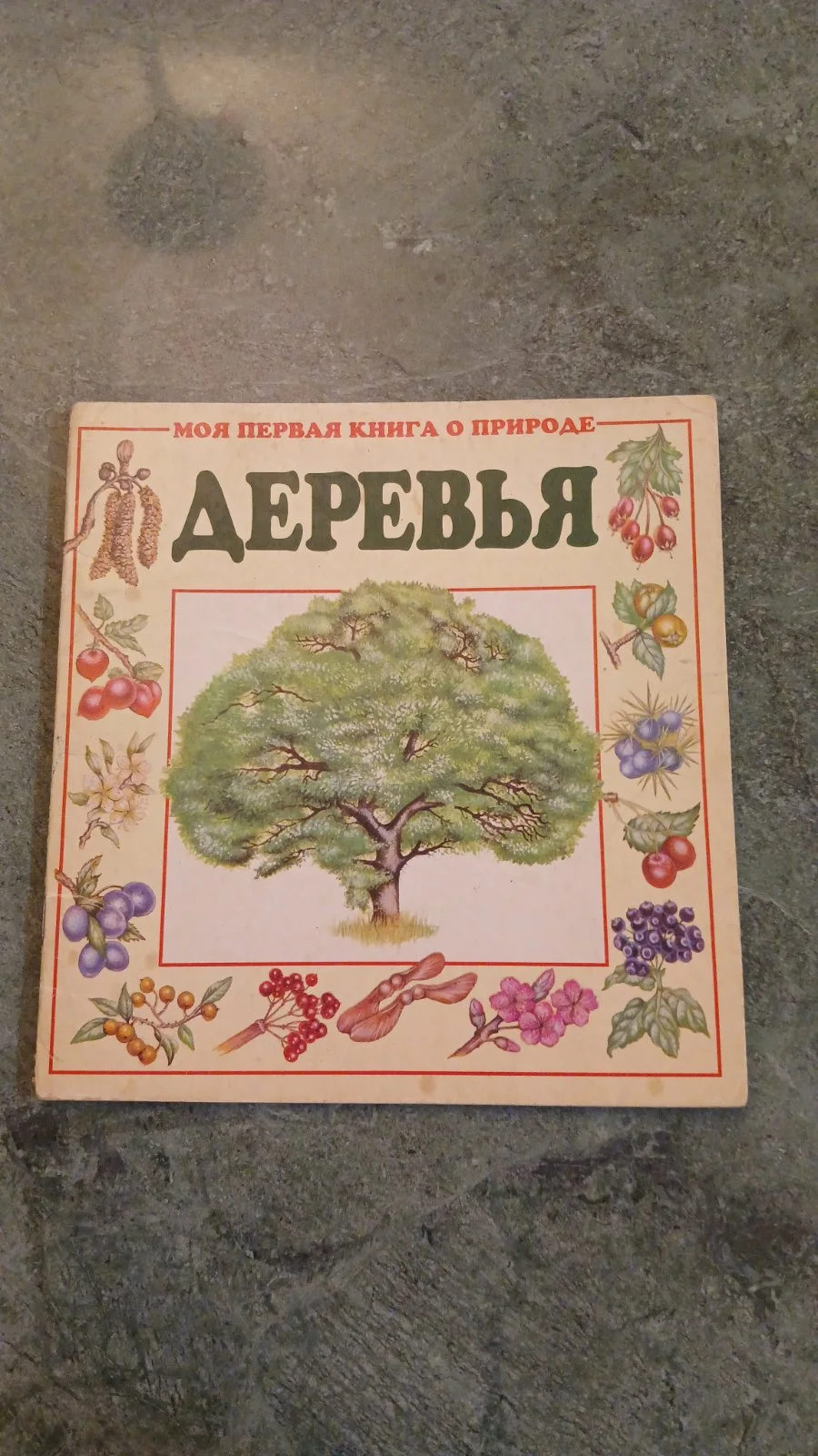 Деревья
