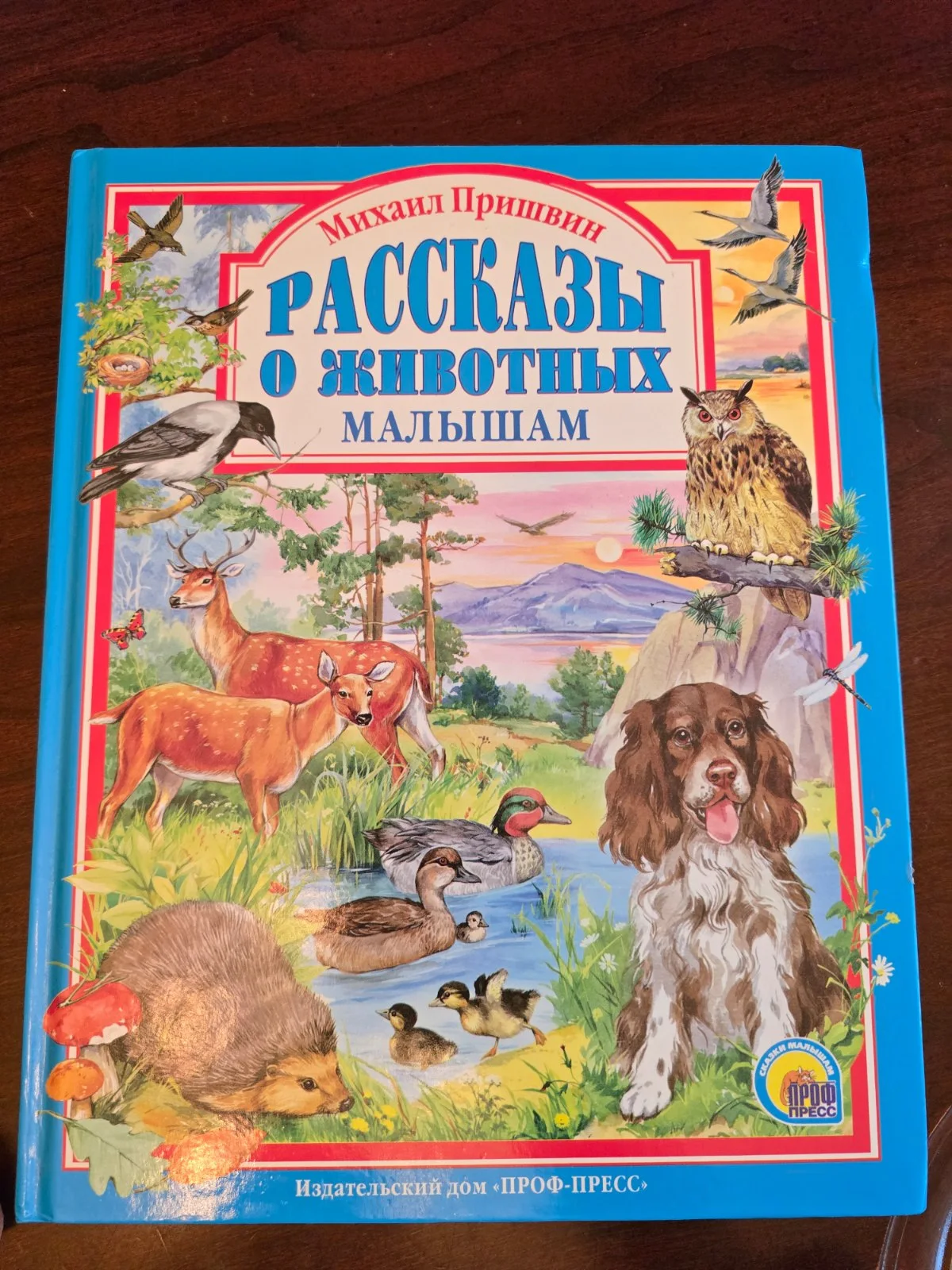 Рассказы о животных малышам