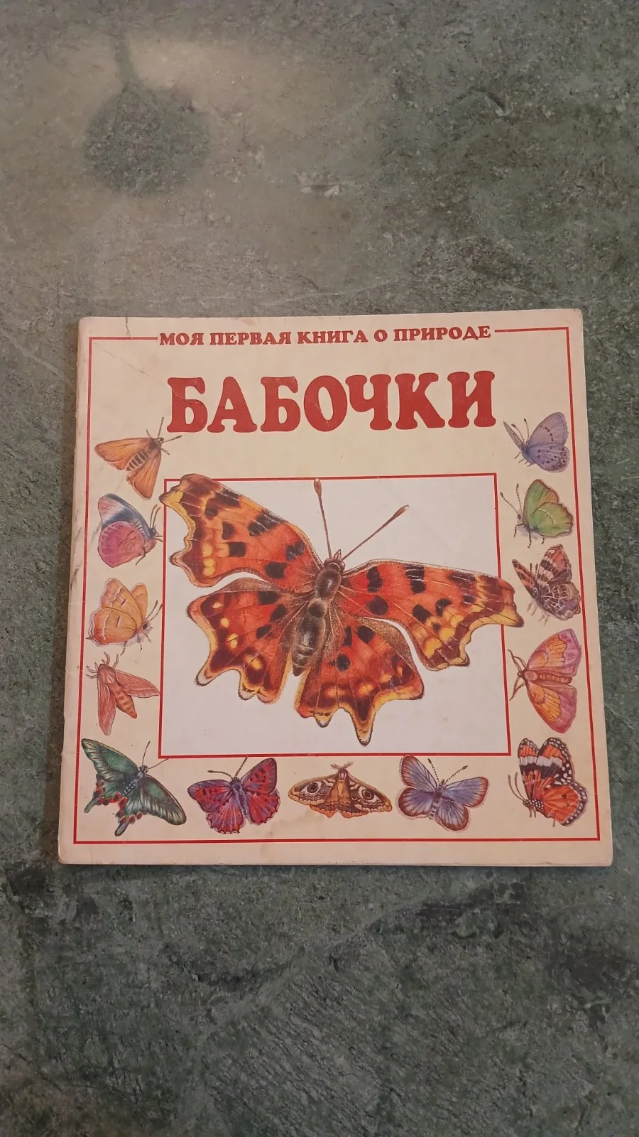 Бабочки