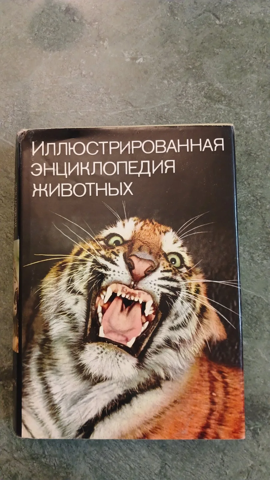 Иллюстрированная энциклопедия животных