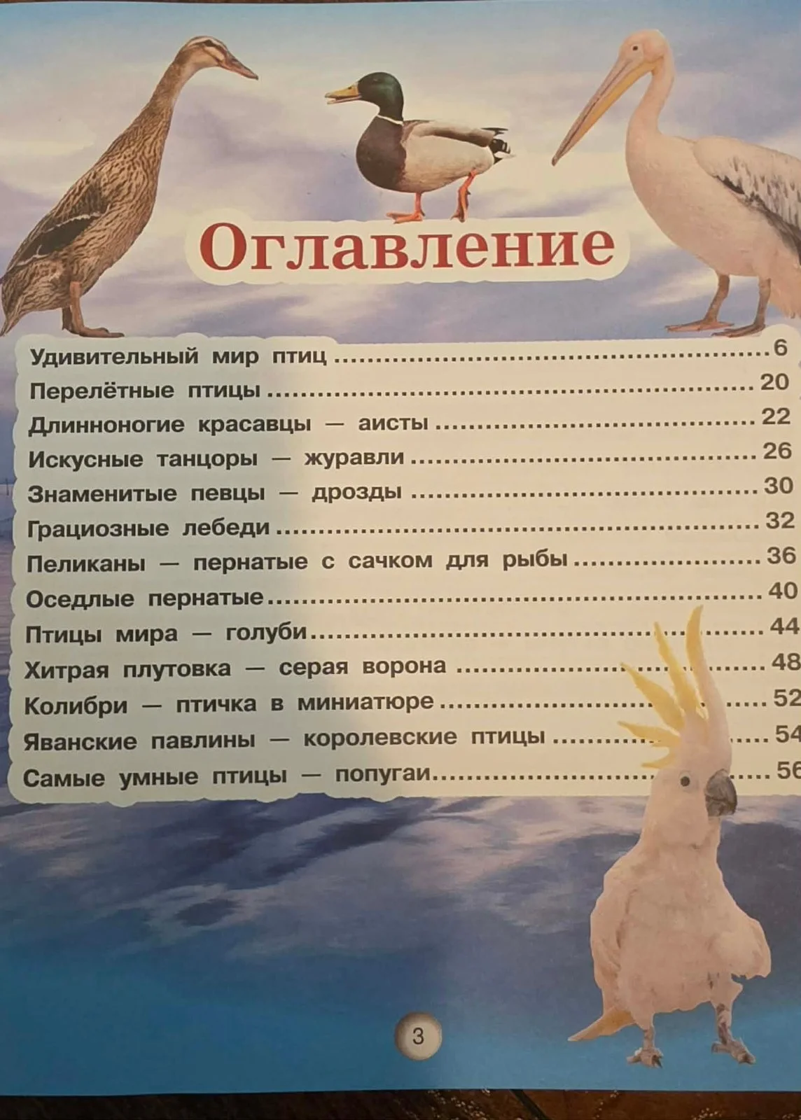 Моя первая энциклопедия Птицы image 2