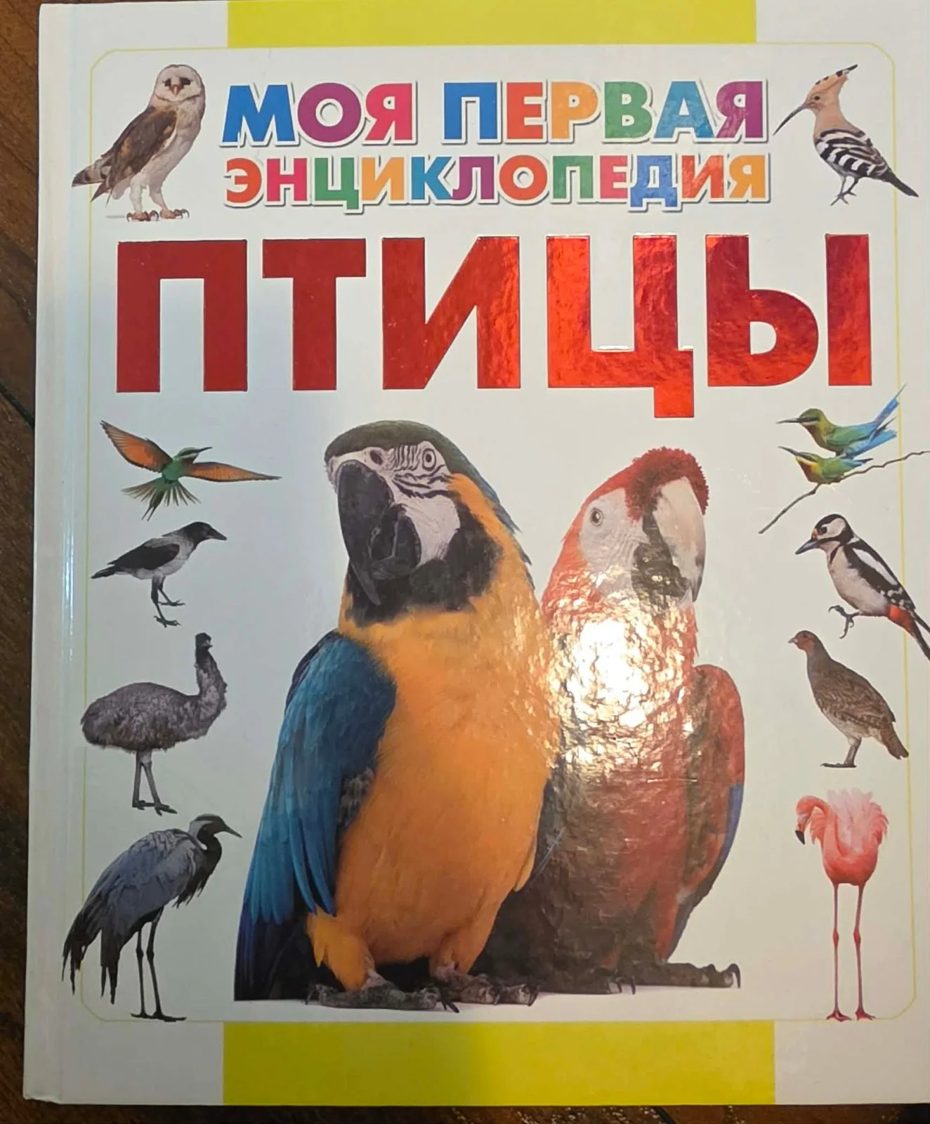 Моя первая энциклопедия Птицы