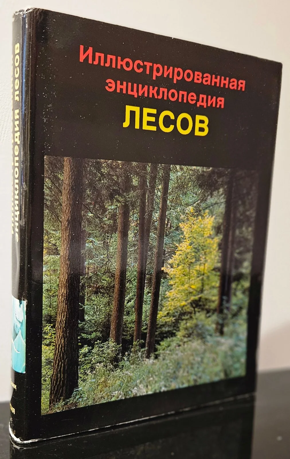 Иллюстрированная энциклопедия лесов