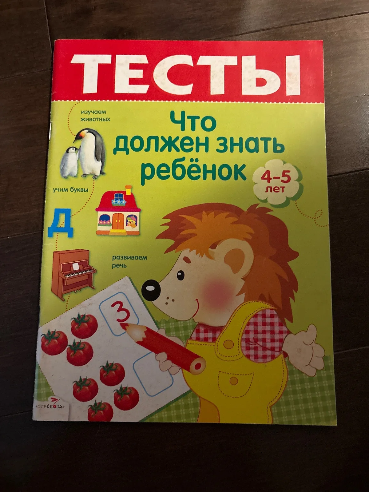 Что должен знать ребёнок 4-5 лет