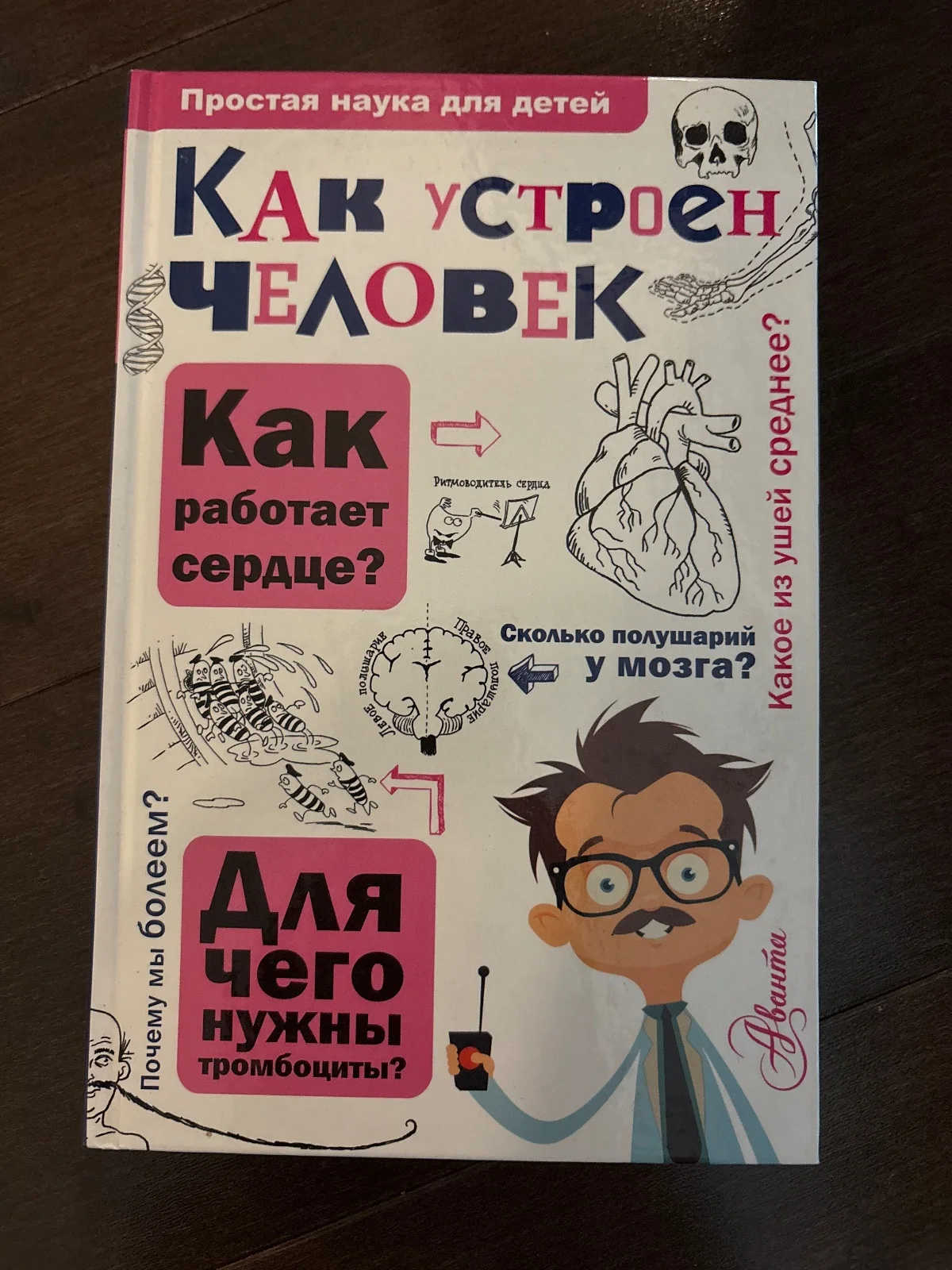 Как устроен человек