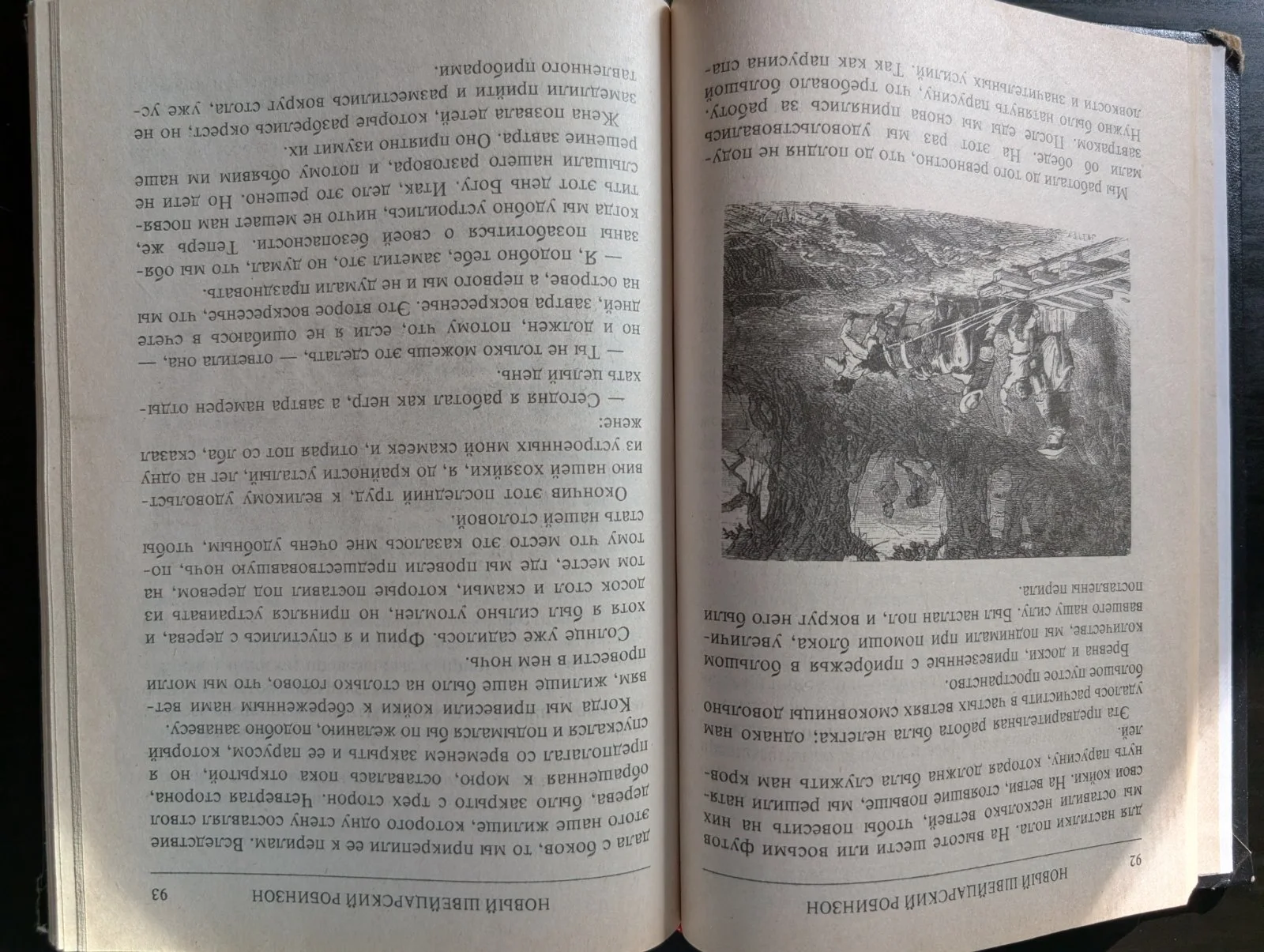 Новый швейцарский Робинзон image 3